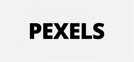 Pexels Logo